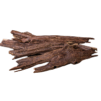 Agarwood (Oud)