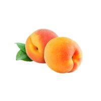 Apricot