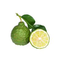 Bergamot