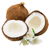 Coconut