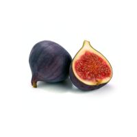 Fig