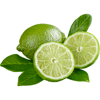 Lime