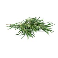 Rosemary