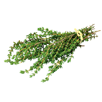 Thyme