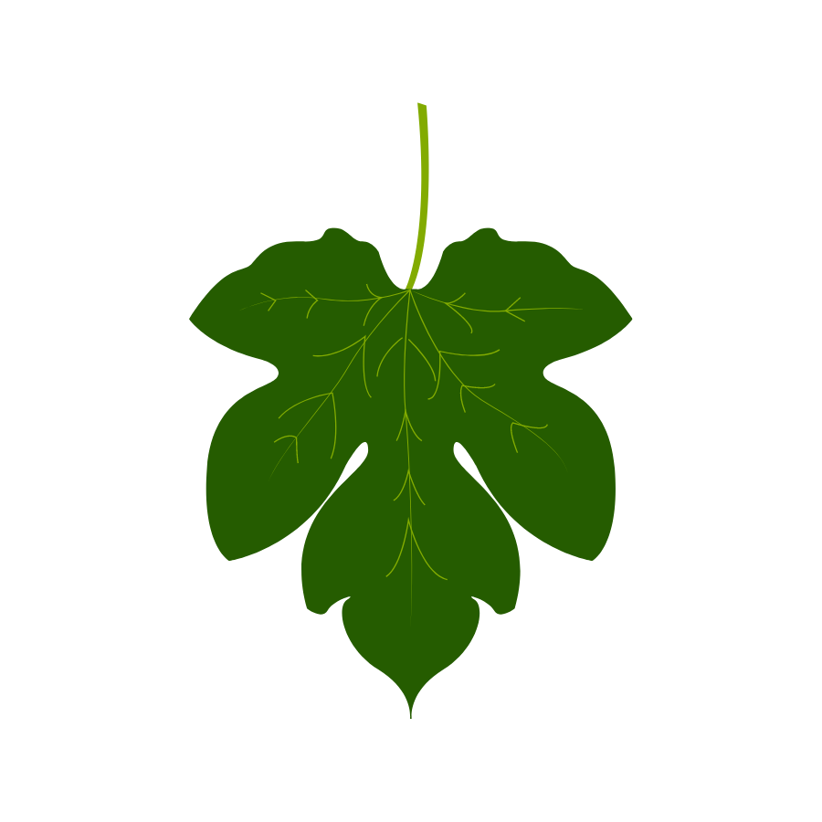 Fig Leaf