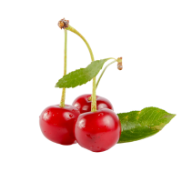 Sour Cherry