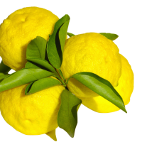 Citron