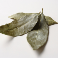 Bay Leaf