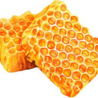 Beeswax