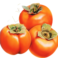 Persimmon