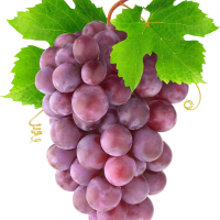 Grapes