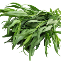 Tarragon