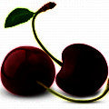 Black Cherry